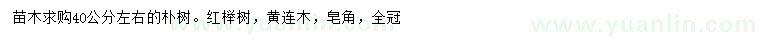 求购朴树、红榉、黄连木等