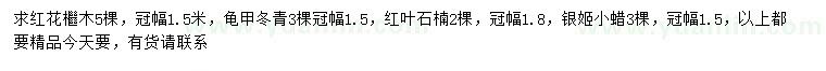 求购红花檵木、龟甲冬青、红叶石楠等