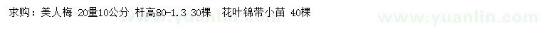 求购20量10公分美人梅、花叶锦带小苗