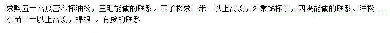 求购高度50公分油松、20公分以上油松小苗