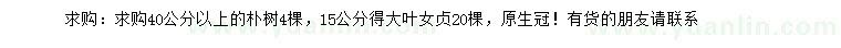 求购40公分以上朴树、15公分大叶女贞