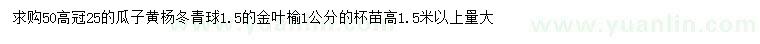 求购瓜子黄杨、冬青球、金叶榆