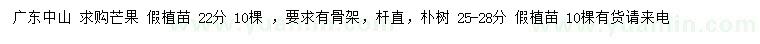 求购22公分芒果假植苗、25-28公分朴树假植苗