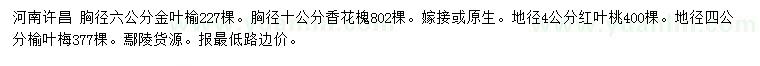 求购金叶榆、香花槐、红叶桃等