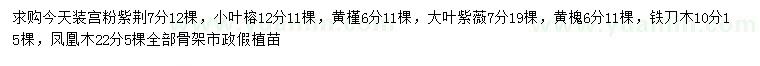 求购宫粉紫荆、小叶榕、大叶紫薇等