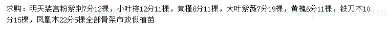 求购宫粉紫荆、小叶榕、黄槿等