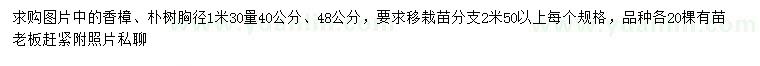 求购1.3米量40、48公分香樟、朴树
