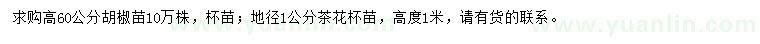 求购高60公分胡椒苗、地径1公分茶花