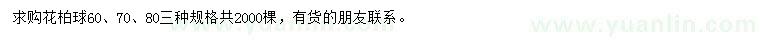 求购60、70、80公分花柏球