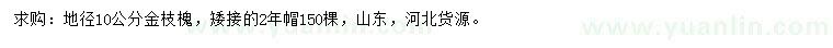 求购地径10公分金枝槐