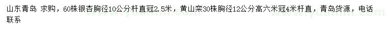 求购胸径10公分银杏、12公分黄山栾