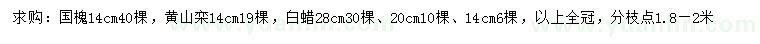 求购国槐、黄山栾、白蜡