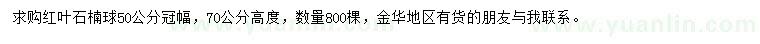 求购冠幅50公分红叶石楠球