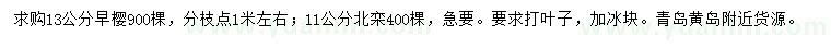 求购13公分早樱、11公分北栾