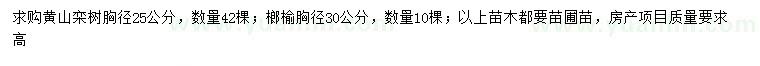 求购胸径25公分黄山栾树、30公分榔榆