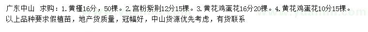 求购黄槿、宫粉紫荆、黄花鸡蛋花