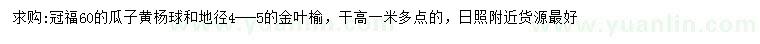 求购冠幅60公分瓜子黄杨球、地径4-5公分金叶榆