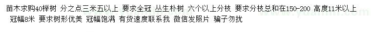 求购40公分榉树、冠幅8米丛生朴树