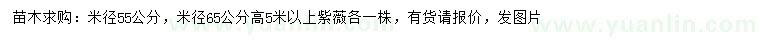 求购米径55、65公分紫薇