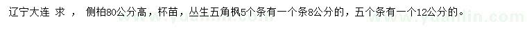 求购高80公分侧柏、8、12公分丛生五角枫