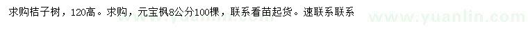 求购高120公分桔子树、8公分元宝枫