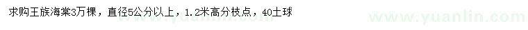 求购直径5公分以上王族海棠