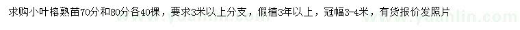 求购70、80公分小叶榕