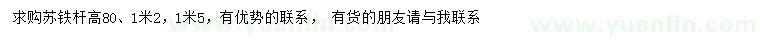 求购杆高80、120、150公分苏铁