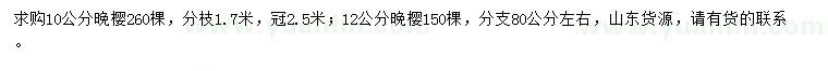 求购10、12公分晚樱