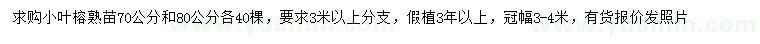 求购70、80公分小叶榕苗