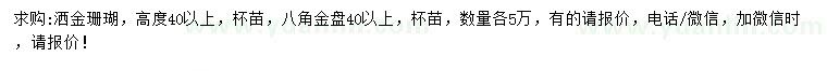 求购高度40公分以上洒金珊瑚