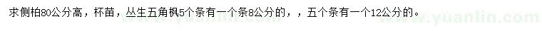 求购高80公分侧柏、丛生五角枫