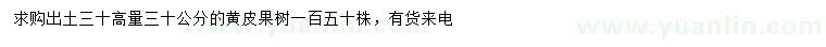 求购出土30高量30公分黄皮果树