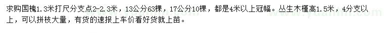 求购1.3米量13、17公分国槐、高1.5米丛生木槿