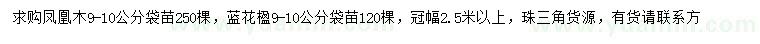 求购9-10公分凤凰木、蓝花楹