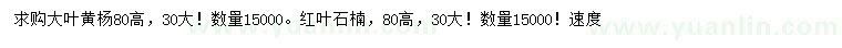 求购高80公分大叶黄杨、红叶石楠