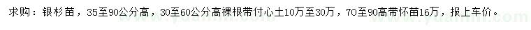 求购高35-90公分银杉苗