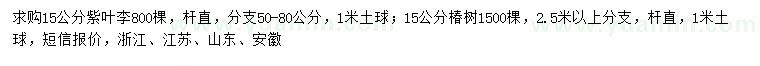 求购15公分紫叶李、椿树