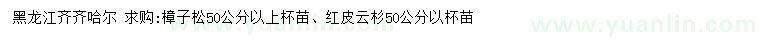 求购50公分以上樟子松