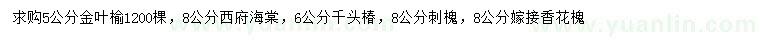 求购金叶榆、西府海棠、千头椿等