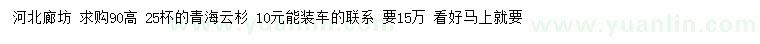 求购高90公分青海云杉