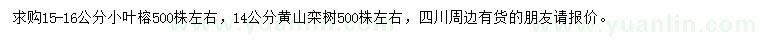 求购15-16公分小叶榕、14公分黄山栾树