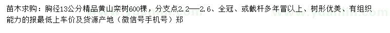 求购胸径13公分精品黄山栾树