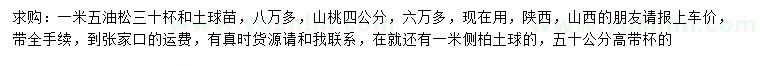 求购1.5米油松、4公分山桃