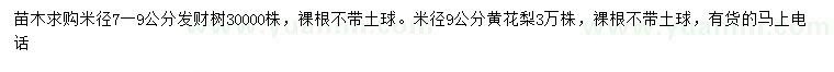 求购米径7-9公分发财树、9公分黄花梨