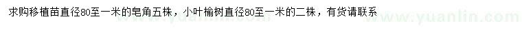 求购直径80-100公分皂角、小叶榆