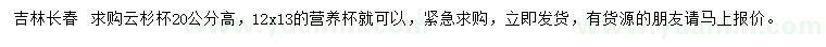 求购高20公分云杉