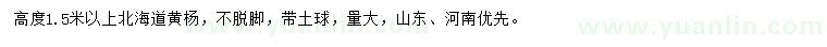 求购高1.5米以上北海道黄杨