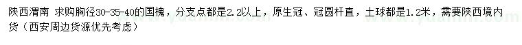 求购胸径30、35、40公分国槐