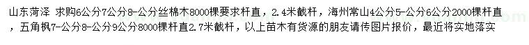 求购丝棉木、海州常山、五角枫